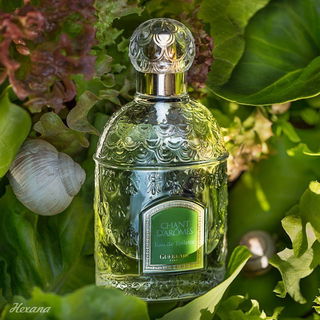 Chant d'Arômes (Eau de Toilette) - Guerlain