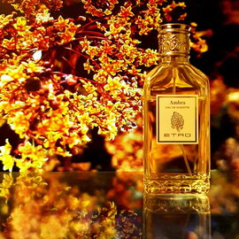 Amber aus der Welt der Pflanzen