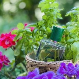 Khaltat Night (Eau de Parfum) - Attar Collection