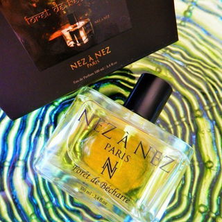 Forêt de Bécharré - Nez à Nez