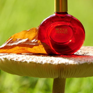 Rouge Hermès Eau Delicate - Hermès