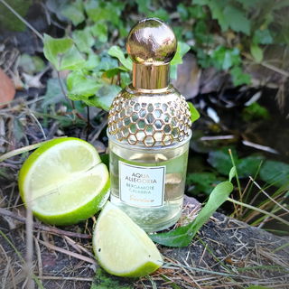 Aqua Allegoria Bergamote Calabria by Guerlain