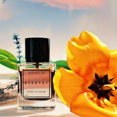 Das Spray Extrait in etwa : auf einem Holzteller servierter Vanille-Planifolia-Extrakt- Zitronenkräuterkuchen : satt mit Erdbeerosenrsirup getränkt,dreimal Labdanum glasiert.Eine Südostasische Sandelholz - Dessert Interpretation mit blaugrüner Rainfarn-Kampfer-Kamille - Toppingkante. Ein fröhlich - gourmandiges Teil aus sechs Zutaten. An türkis-rosa 🩵🩷 gepuderten Sommerabenden bestimmt köstlich zu tragen.Vielen Dank allen. 🧜‍♀️ (von Seejungfrau)