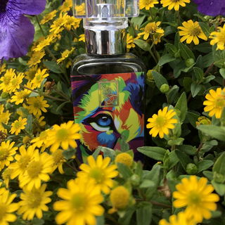 #Fierce - The Dua Brand