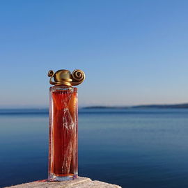 Organza (Eau de Parfum)