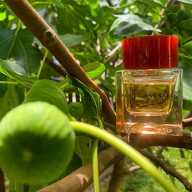 Baccarat Rouge 540 (Brume Cheveux) - Maison Francis Kurkdjian