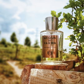 Colonia Intensa (Eau de Cologne) - Acqua di Parma