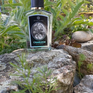 Chameleon by Zoologist