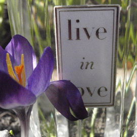 Live in Love - Oscar de la Renta