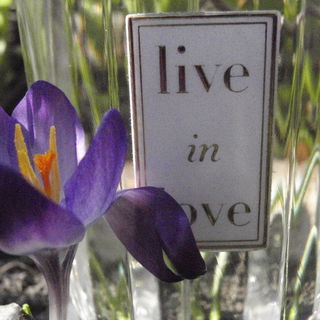 Live in Love von Oscar de la Renta