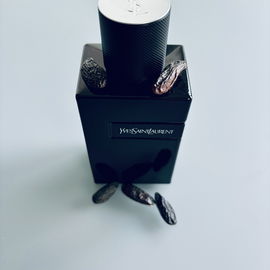 Y Le Parfum (2021) - Yves Saint Laurent