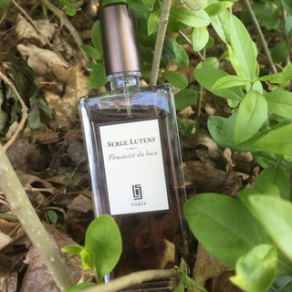 Féminité du bois von Serge Lutens