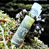 Pinientrank (von Floyd)