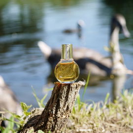 Vanderbilt (Eau de Toilette) - Gloria Vanderbilt