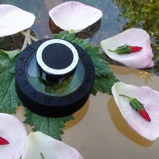 Bvlgari Black by Bvlgari