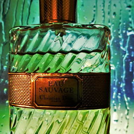 Eau Sauvage (Eau de Toilette) - Dior