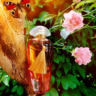 Suave Petals - The Merchant Of Venice