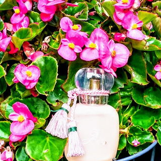 Rose Nue by Les Parfums de Rosine
