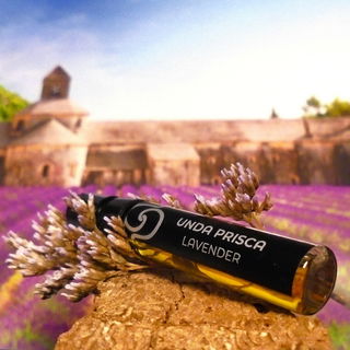 Lavender / Levandų by Unda Prisca