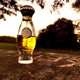 Tabac Blond (1919) (Parfum) - Caron