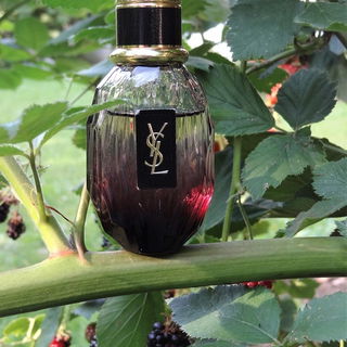 Parisienne à l'Extrême - Yves Saint Laurent