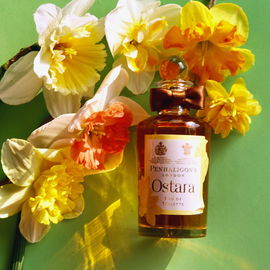 Rose Nue - Les Parfums de Rosine