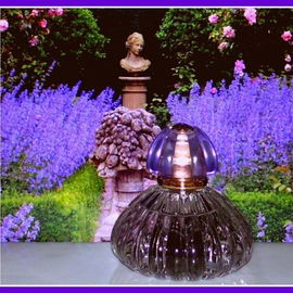 Les Jardins de Caterina - Lorenzo de' Medici