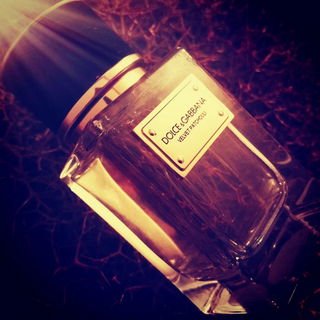 Velvet Patchouli von Dolce & Gabbana