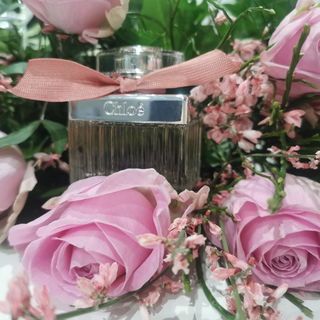 Roses de Chloé by Chloé