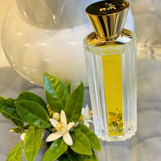 Pop Delights 01 von Jean-Louis Scherrer