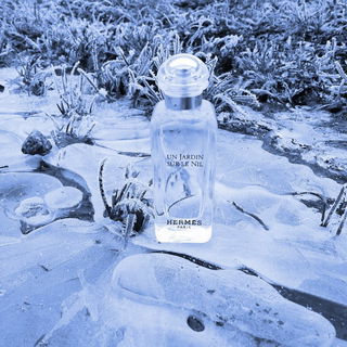 E I L M E L D U N G: der Nil ist eingefroren ;)