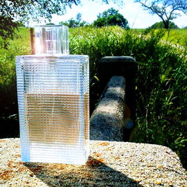 Brit Rhythm for Her (Eau de Toilette) - Burberry