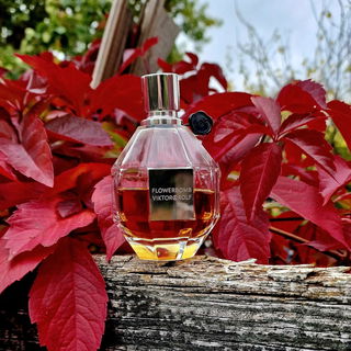 Flowerbomb (Eau de Parfum)