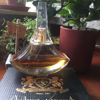 Oud Maharaji von Antonio Visconti