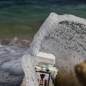 Nach meiner Herbstbilderfolge bringe ich euch in nächster Zeit ein bisschen Sommer zurück. Kampf dem Schmuddelwetter!!!! Leider bin ich aber schon wieder zu Hause. Es  folgen Bilder von des Deutschen liebster Insel aus diesem Oktober. Vielen Dank für eure lieben Worte, wie immer (von DrHildegard)