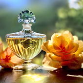 ….. das Strahlen eines Duftes ☺️ …. danke für Deine schöne Vorgabe liebe Marieposa 😊 🧡…. (by IrisNobile)