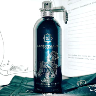 Arabians Tonka von Montale