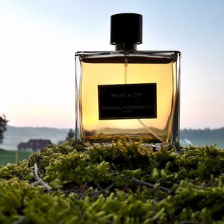 Back in the nature – with Bois & Or