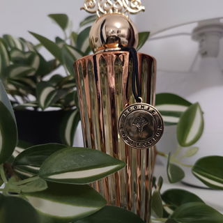 Iconic Tonka - Ibraheem Al.Qurashi