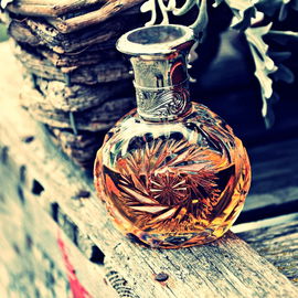 Safari (Eau de Parfum) - Ralph Lauren