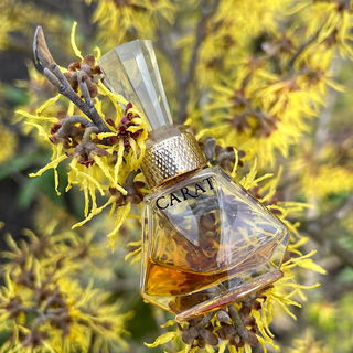 Carat (Eau de Parfum) - 4711