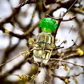 Cabotine (Eau de Parfum) - Grès