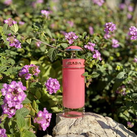 Candy Gloss (Eau de Toilette) - Prada