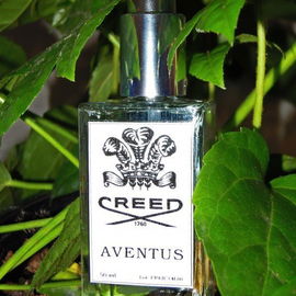 Aventus by Creed