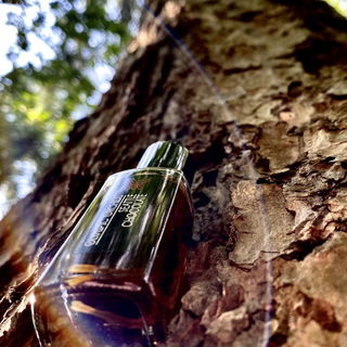 Seattle Chocolate by Olympic Orchids Artisan Perfumes