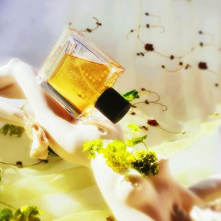 Perlenmantis ausgebreitete Flügel # Schillernde Blütengestalt # Bogue_Echo_Insekt # Milchig_grünfeucht_verschwommen # Ringelblumen - Synergie - 愛 Ai