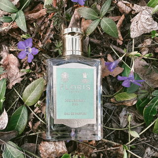 Mulberry Fig by Floris