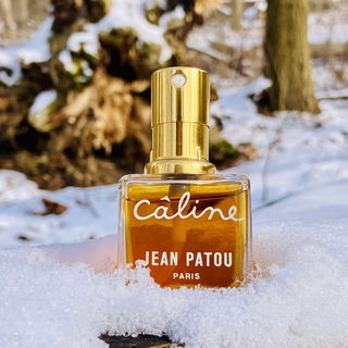 Câline (Parfum)