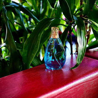 …📷🌍 Thank you. Danke schön. Merci beaucoup. Muchas gracias. Dōmo arigatō gozaimasu 💐…