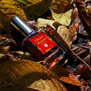 Chasing Autumn (Parfum) von Neil Morris Fragrances